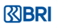 BSI Net Logo